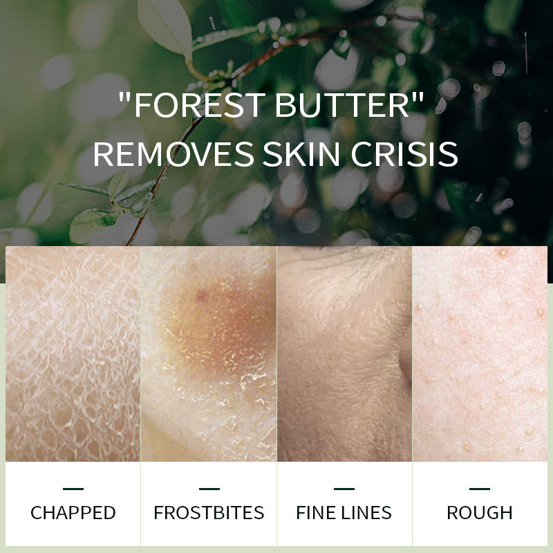 Avocado Cream Moisturizing & Hydrating Cosmetics Skin Care Products