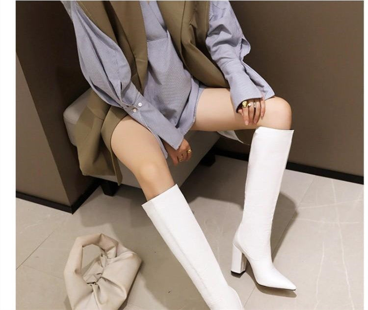 Pointed Super High Heel Thick  Boots